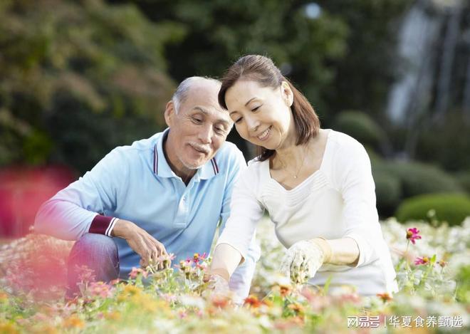 老年人如何保持健康 华夏食养甄选十大养生要点来帮您